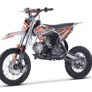 brz 110cc racing team pro (2)